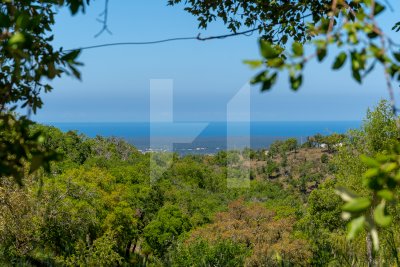 18ha Farm with Sea Views
